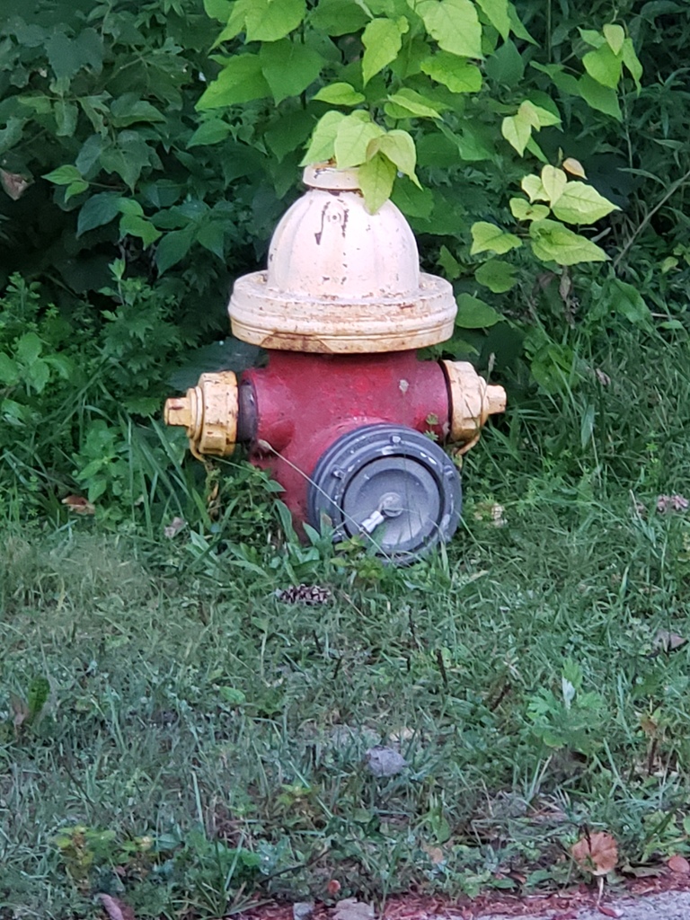 Hydrant surrounded by grass before grading was done to improve access