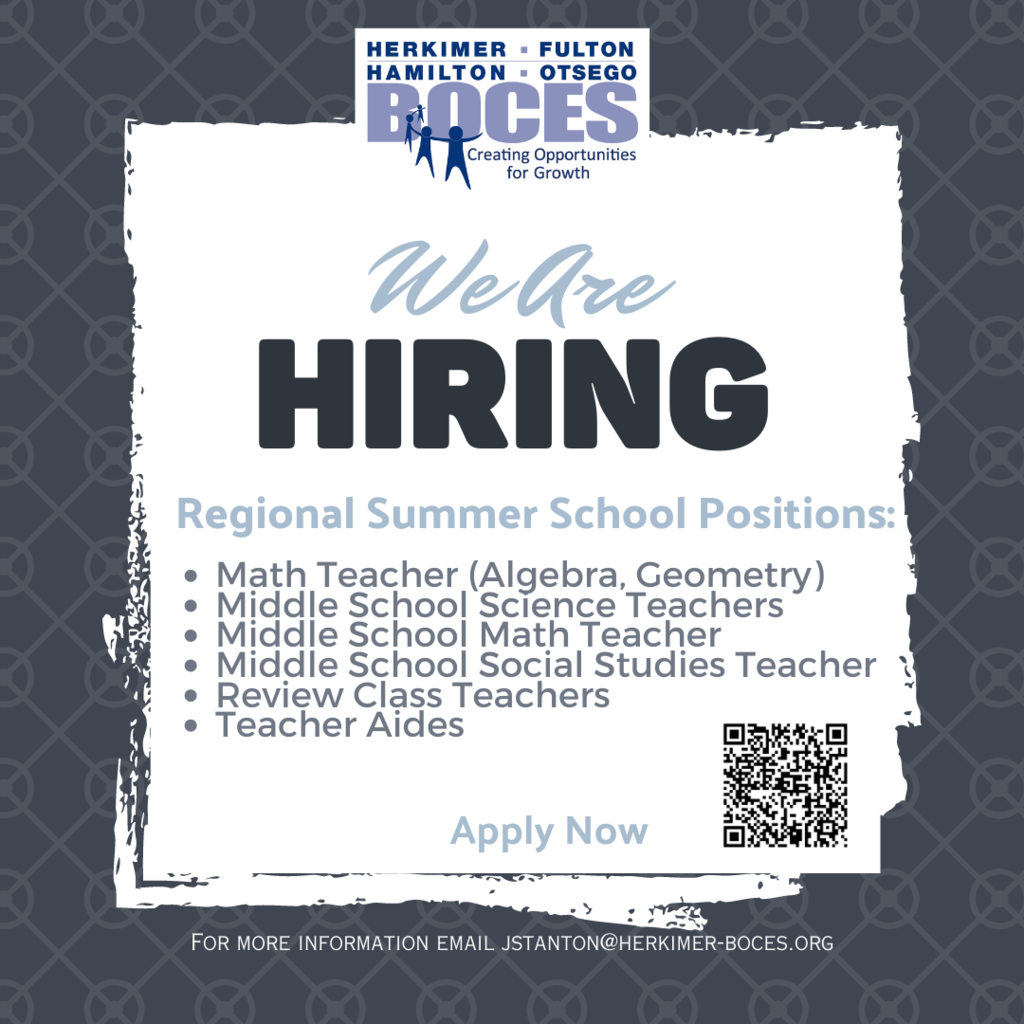 We are hiring regional summer school