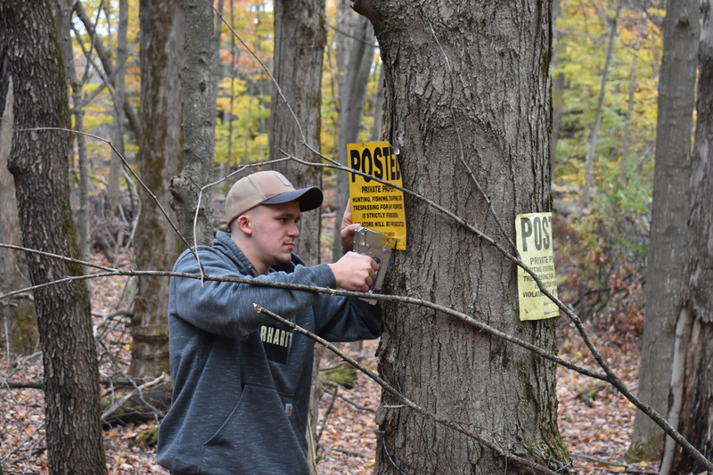 Student surrounded by trees puts up signage on a tree